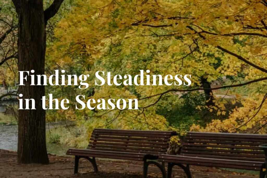 Two benches under trees, Finding Steadiness in the Season